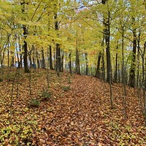 Meet your Posher, Sheila